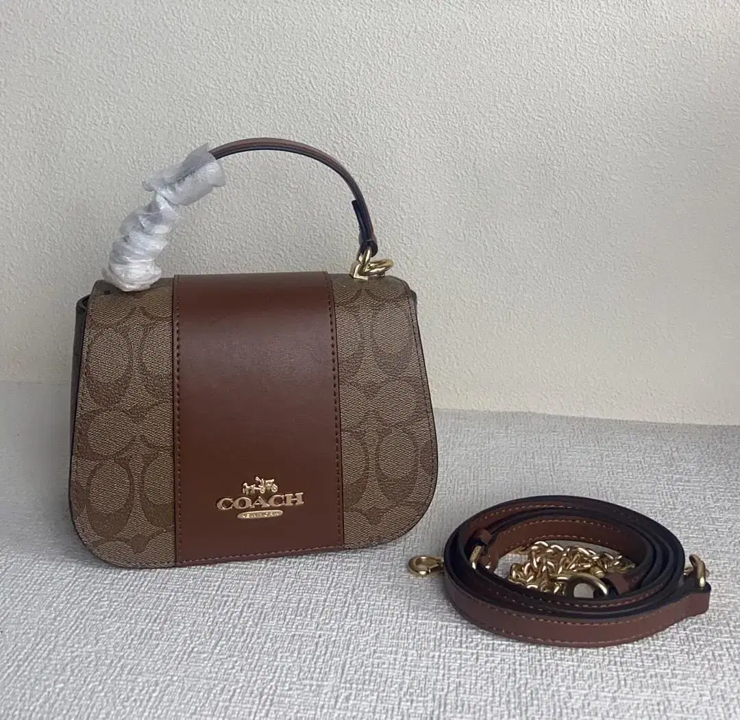 코치 COACH CM195 cpn 여자 가방 시그니처 캔버스 리사